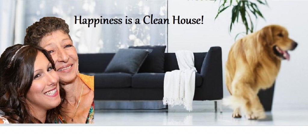 Do you love a clean house?